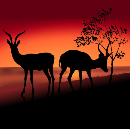 Antelope Silhouette Bの写真素材
