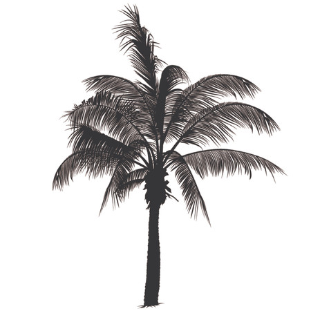 Palm tree silhouette 2 - Highly detailed black silhouetteのイラスト素材