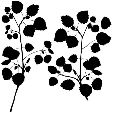 Branch Silhouettes のイラスト素材