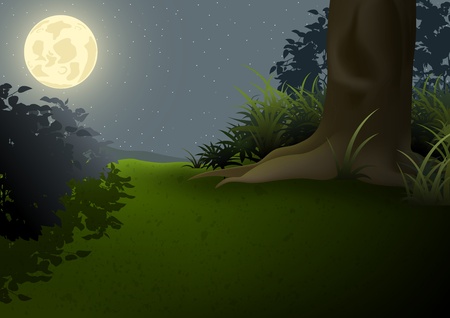 Night Landscape - Cartoon Background のイラスト素材