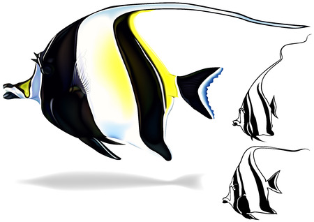 Morish Idol Zanclus canescens  Illustration Set Vectorのイラスト素材