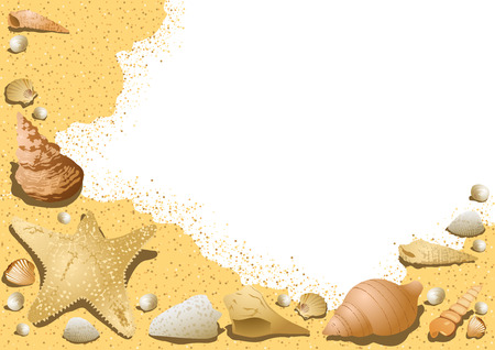 Sandy Background with Seashells - Decorative Illustration with Underwater Life, Vectorのイラスト素材