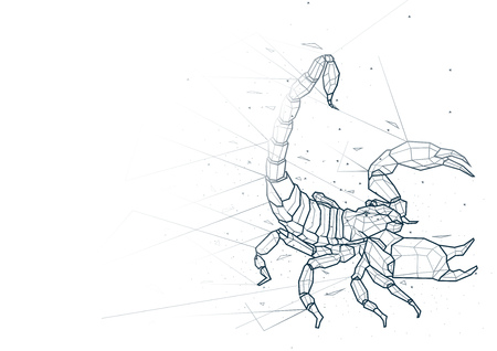 Abstract Scorpion from Low Poly Wireframe Isolated on White Background - Polygonal Image Mash Line Structure, Vector Illustrationのイラスト素材