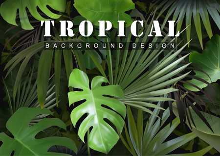 Tropical Background with Jungle Plants - Detailed Photorealistic Illustration, Colored Vector Graphicのイラスト素材