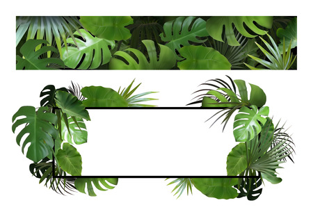 Set of Banners with Tropical Leaves - Detailed and Photorealistic Exotic Plants, Vector Illustrationsのイラスト素材