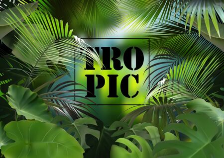 Tropical Background with Photorealistic Vegetation - Exotic Composition with Detailed Tropical Plants and Blurred Jungle, Vector Graphicのイラスト素材