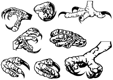 Black and White Set of Eagle Claws - Eight Black Illustration Isolated on White Background, Vectorのイラスト素材