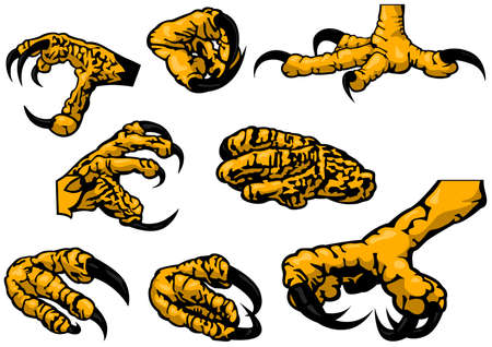 Colored Set of Eagle Claws - Eight Black Illustration Isolated on White Background, Vectorのイラスト素材