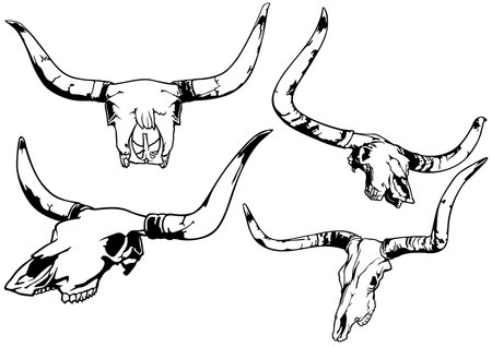 Set of Four Drawing Bull Skull Isolated on White Background - Black and White Illustration, Vectorのイラスト素材