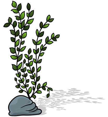 Aquatic Plant with a Long Stem on a Stone - Colored Cartoon Illustration Isolated on White Background, Vectorのイラスト素材