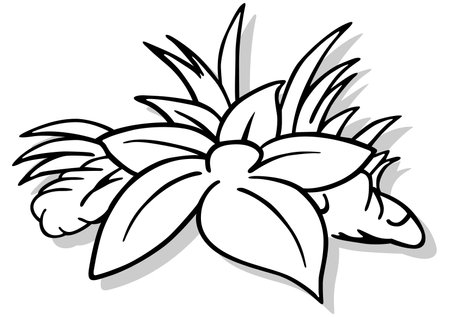 Drawing of a Large Lying Flower in the Grass - Cartoon Illustration Isolated on White Background, Vectorのイラスト素材