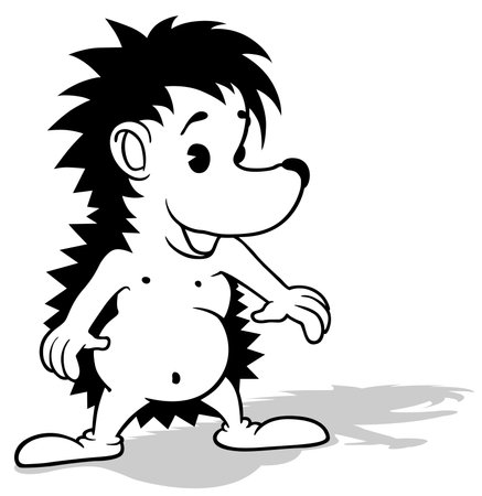 Drawing of a Smiling Cute Hedgehog from Front View - Cartoon Illustration Isolated on White Background, Vectorのイラスト素材
