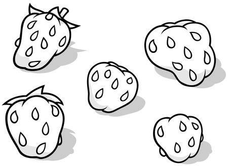 Drawing of Five Strawberries with Seeds - Cartoon Illustration Isolated on White Background, Vectorのイラスト素材