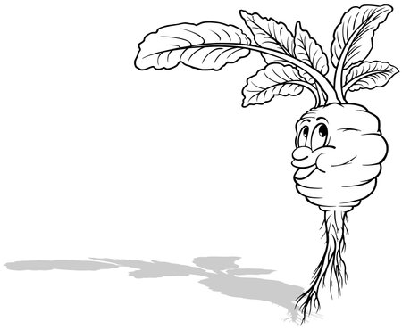 Drawing of Kohlrabi with a Cheerful Face and Leaves - Cartoon Illustration Isolated on White Background, Vectorのイラスト素材