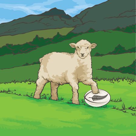 Vector color image of sheep in the background of the nature New Zealand Rugby Ballのイラスト素材