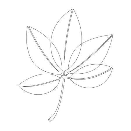 Living plant leaves of a tree. One continuous drawing line, single hand drawn art doodle isolated minimal illustration.のイラスト素材