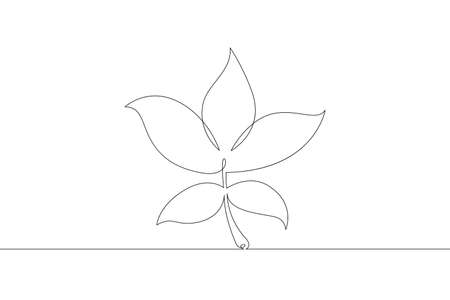 Deciduous tree leaf. Leaves. One continuous drawing line single hand drawn art doodle isolated minimal illustration.のイラスト素材