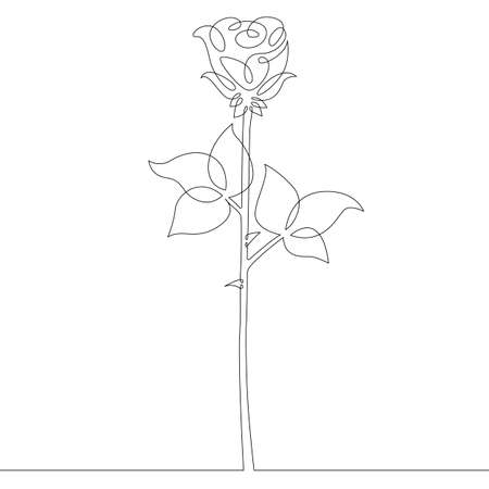 Flower plant rose. Rose petals and leaves bud. One continuous drawing line single hand drawn art doodle isolated minimal illustration.のイラスト素材