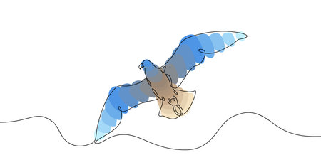 One continuous line.Silhouette of a soaring bird in the sky. The flight of a bird in the air.Colored isolated elements. Continuous line drawing.Line Art isolated white background.のイラスト素材
