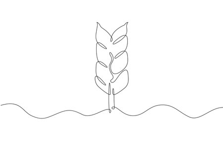 One continuous line. Spikelet of wheat. Spikelet of a cereal plant. Flat minimal icon. One continuous line on a white background.のイラスト素材