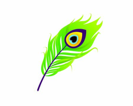 Detailed Elegant Peacock Feather Illustrationのイラスト素材