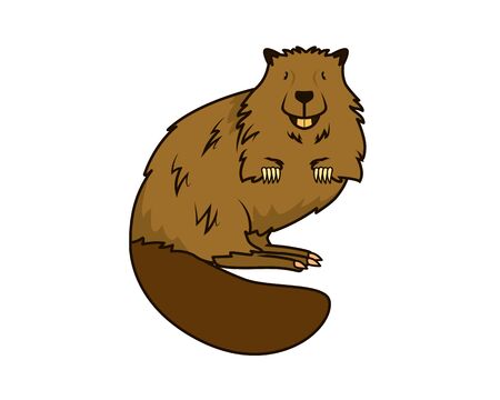 Detailed Beaver with Standing Gesture Illustrationのイラスト素材