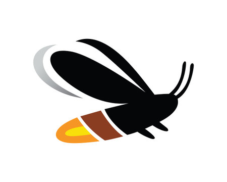 Shiny Firefly or Glowing Firefly Illustrationのイラスト素材