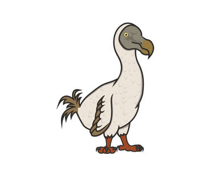 Detailed Dodo Bird with Standing Gesture Illustration Vectorのイラスト素材