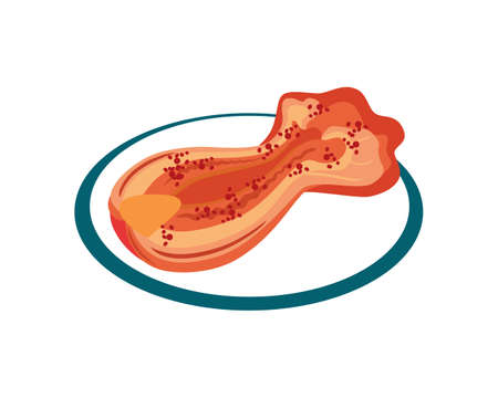 Kimchi Korean Food Illustration Vectorのイラスト素材