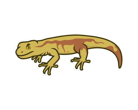Simple Gecko Calmly Gazing Illustrationのイラスト素材