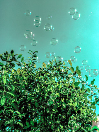 In Green color effect bubles flying to up stairs