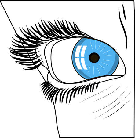 human eyeのイラスト素材