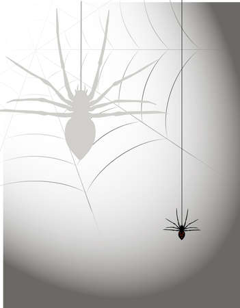 spiderのイラスト素材