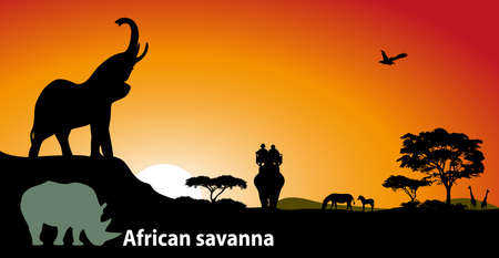 African savannaのイラスト素材