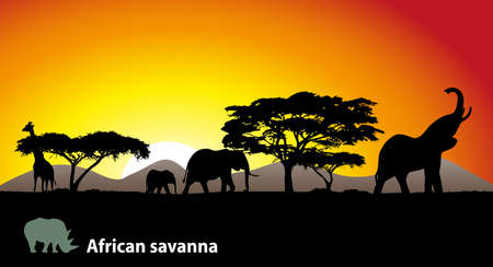 African savannaのイラスト素材