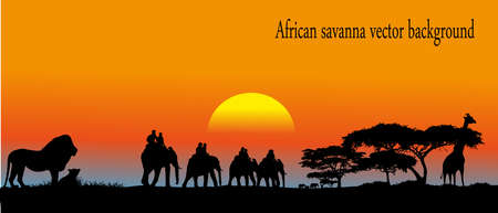 African savannaのイラスト素材
