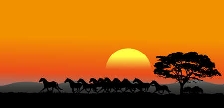 The pictures show a running herd at sunsetのイラスト素材