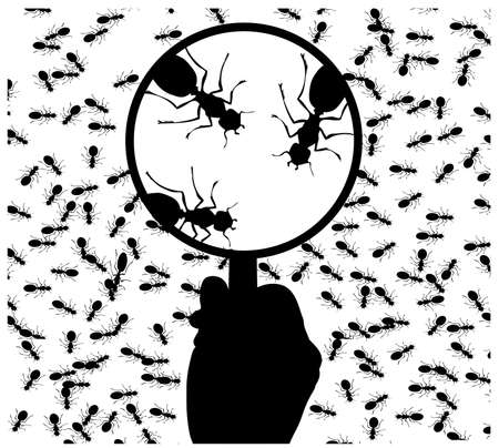 ant under a magnifying glassのイラスト素材