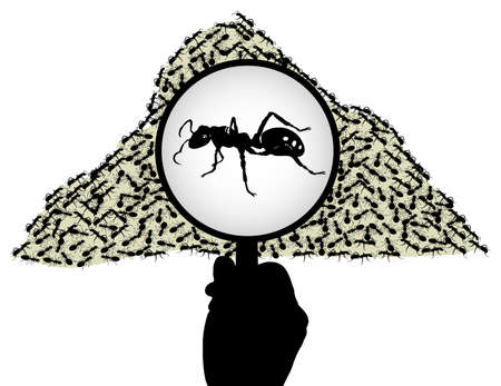ant under a magnifying glassのイラスト素材