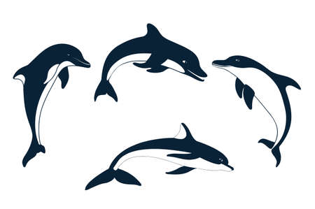 Set of silhouettes of   dolphinのイラスト素材