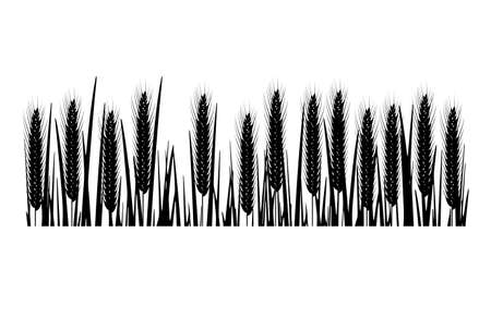 silhouette of ripe wheat earsのイラスト素材