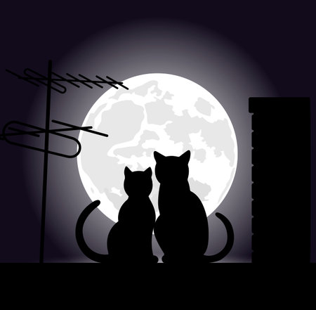 cats on a night roofのイラスト素材