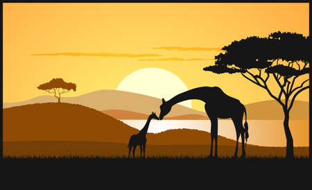 African savanna an evening landscapeのイラスト素材