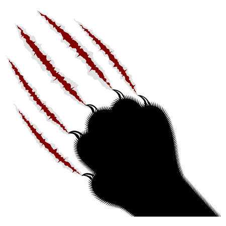 trace of claws of a predator on a white backgroundのイラスト素材