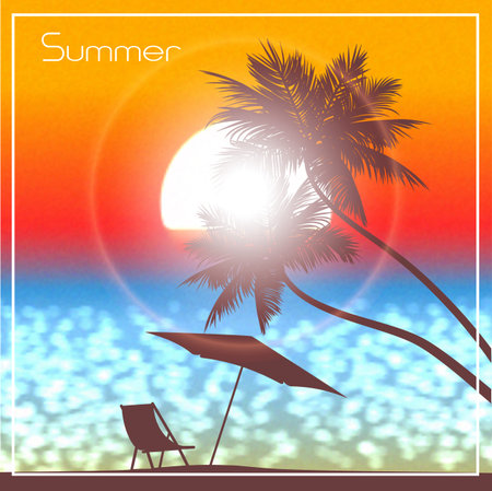 Evening sunset in tropics a vector illustration.