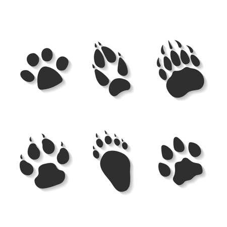 Set print of paws of predators.のイラスト素材
