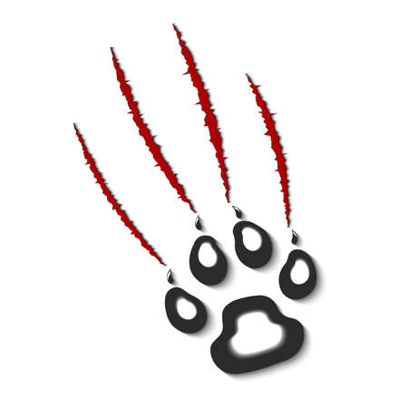 Sharp-clawed paw scratches a background.のイラスト素材