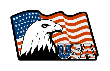 Bald eagle symbol of north america.のイラスト素材