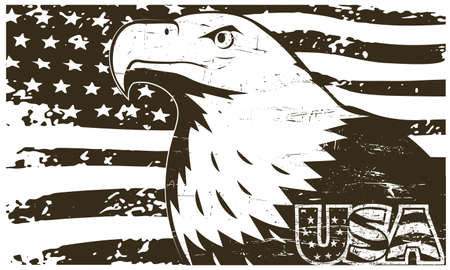 Bald eagle symbol of north america in grunge styleのイラスト素材