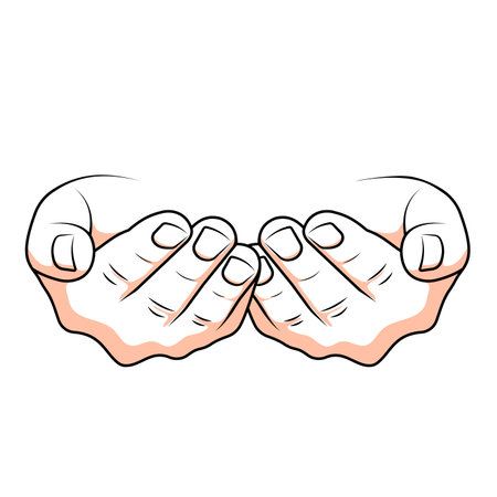 Hands on a white background. Vector illustration, flat design.のイラスト素材